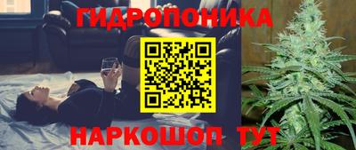 крисы Славянск-на-Кубани